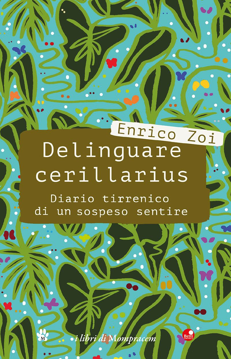 Delinguare cerillarius